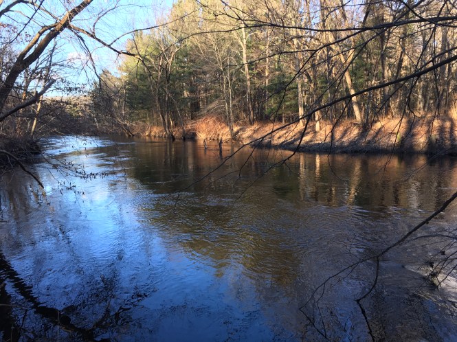 Nashua River from Esker Trail